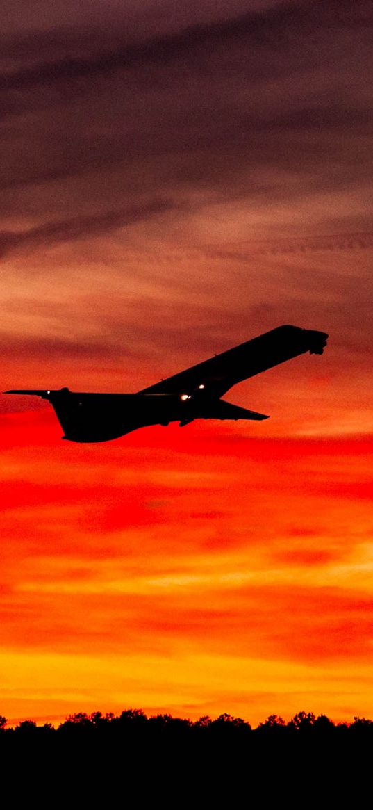 airplane, sunset, sky, flight