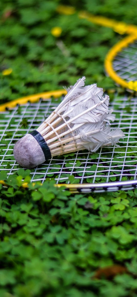 racket, shuttlecock, tennis