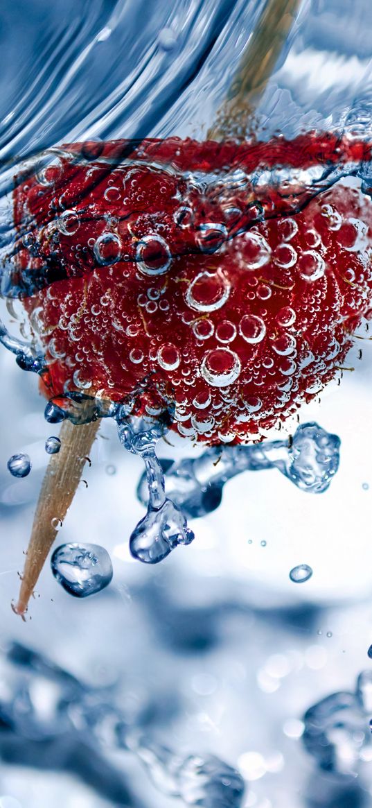 bubbles, raspberry, toothpick, close-up