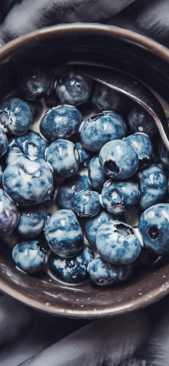 blueberry, berries, breakfast, milk, plate