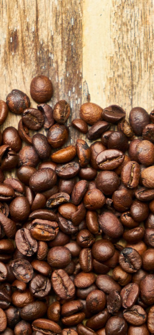 coffee beans, coffee, surface