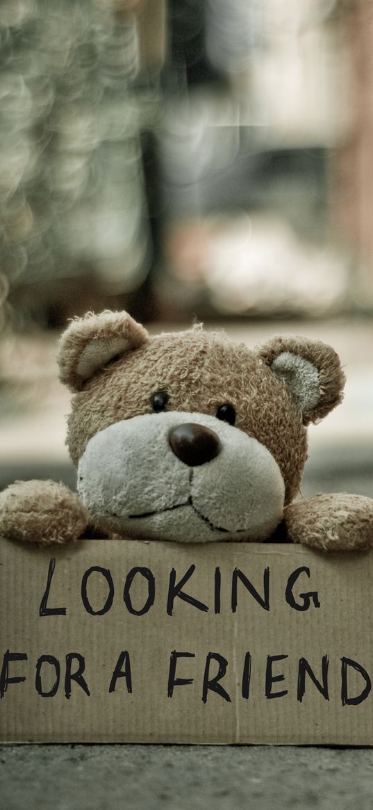 teddy bear, toy, inscription