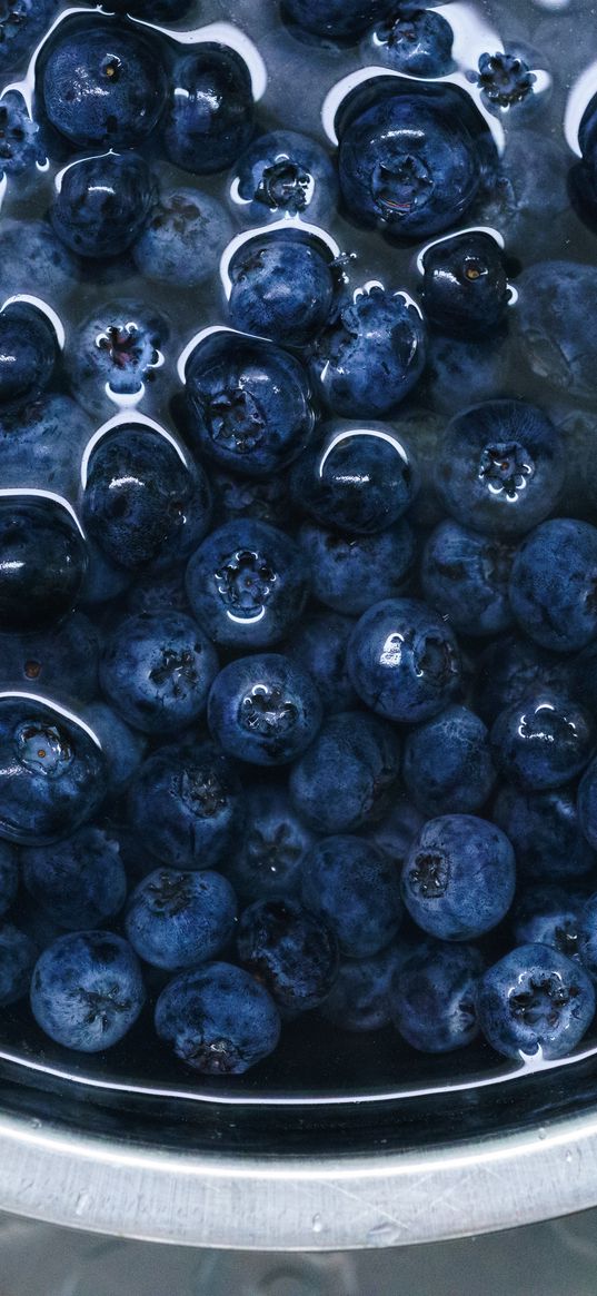 blueberries, berries, plate, water