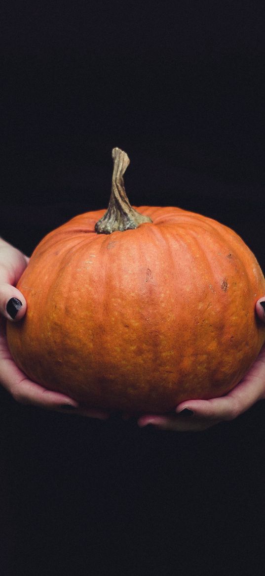 pumpkin, hands, girl