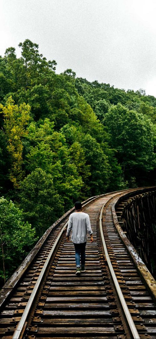 railway, man, walk, trees