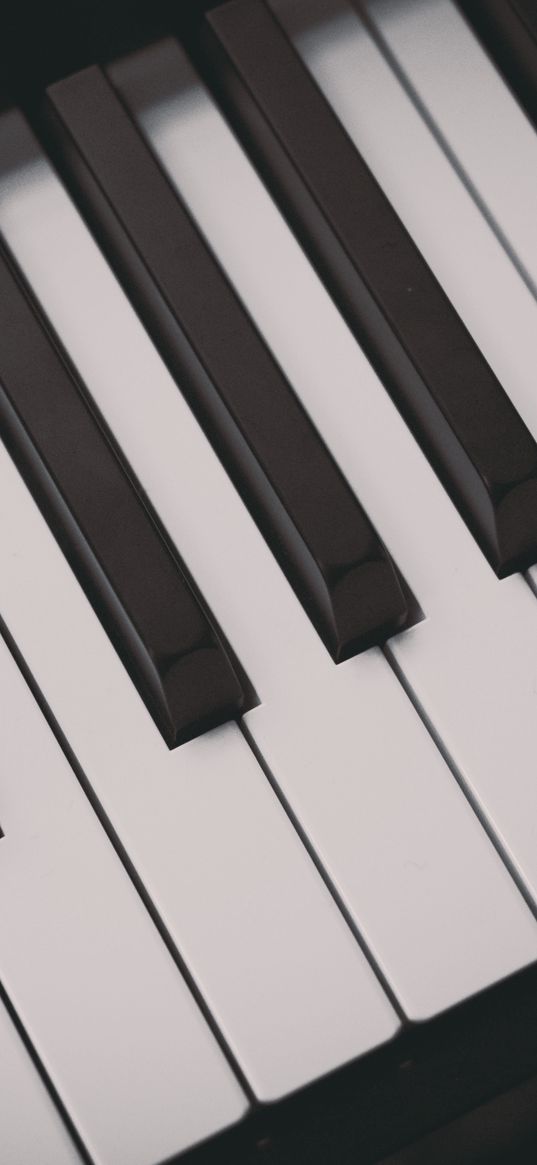 pianos, keys, musical instrument