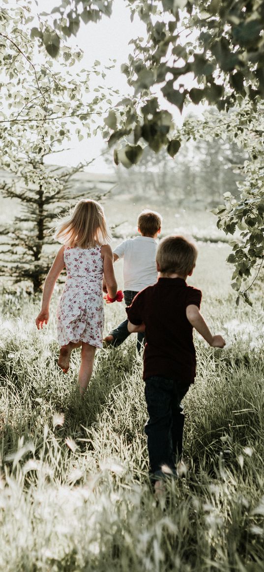 children, grass, sunlight, walk