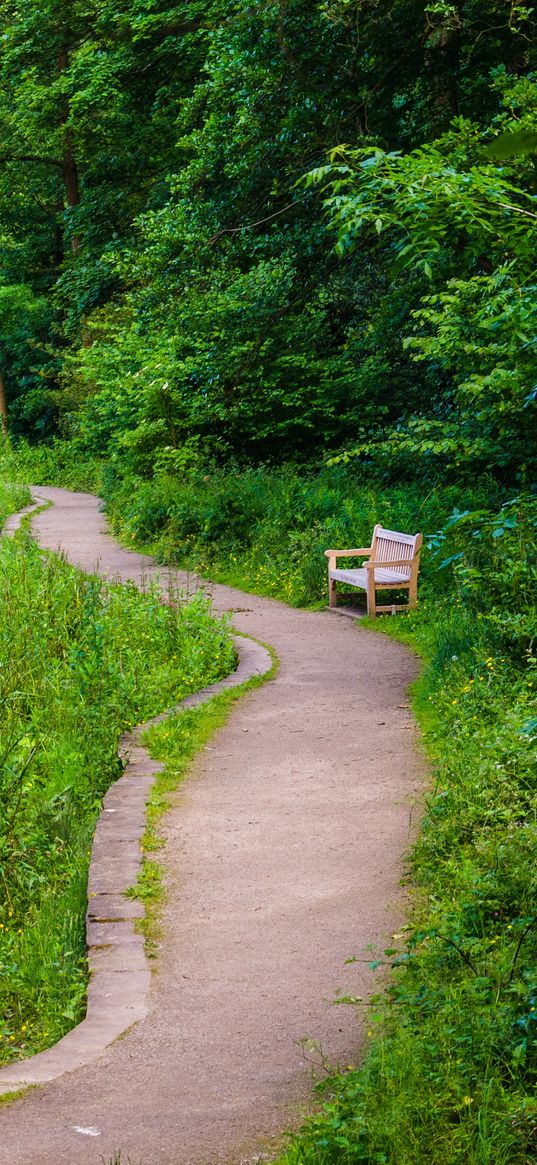 bench, trees, trail