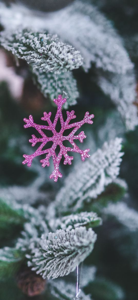 snowflake, christmas decoration, spruce