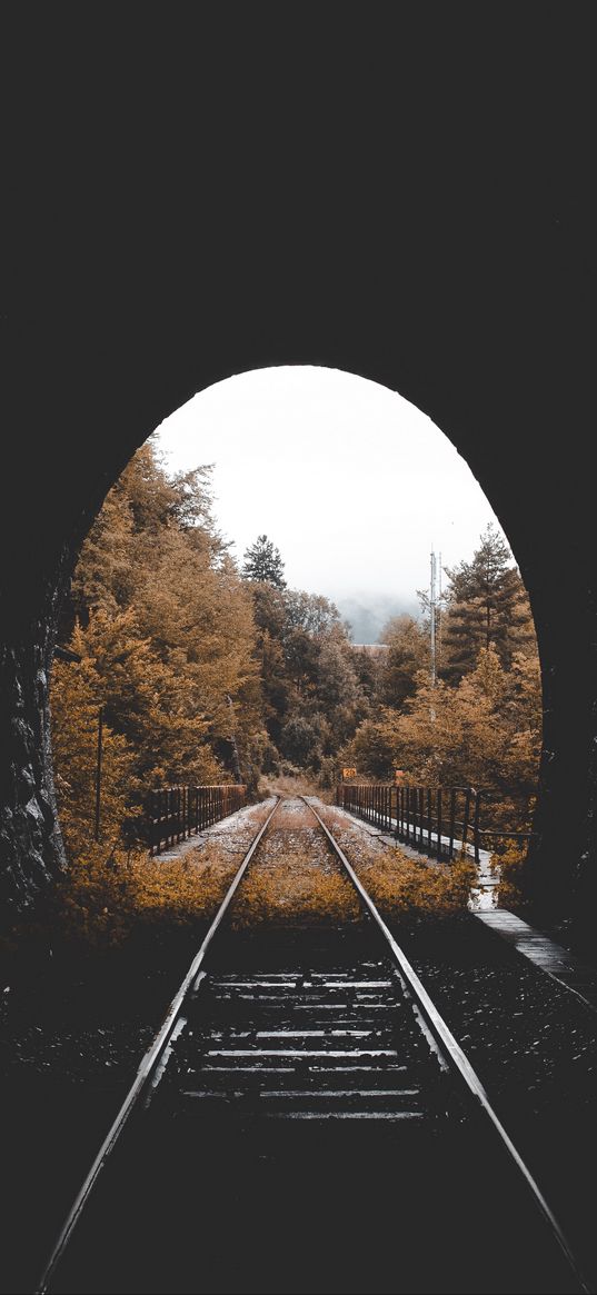 tunnel, railway, autumn