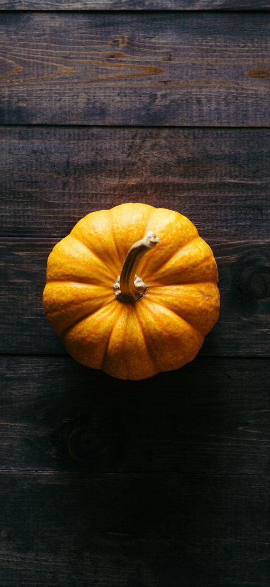 pumpkin, floor, wooden, shadow