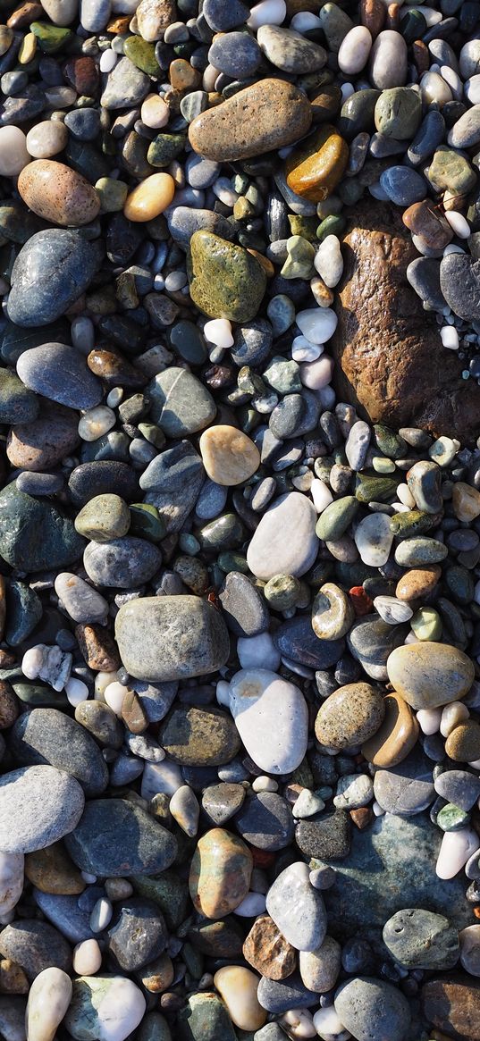 sea stones, shore, wet