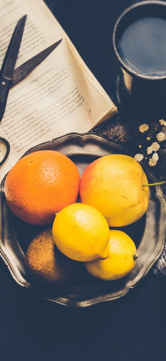 fruit, book, scissors, mug