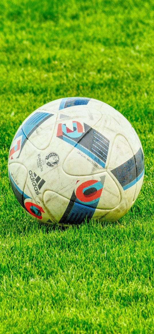 ball, football, lawn, grass