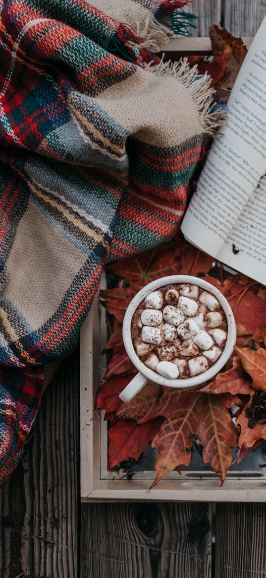 cocoa, marshmallow, autumn, plaid, book