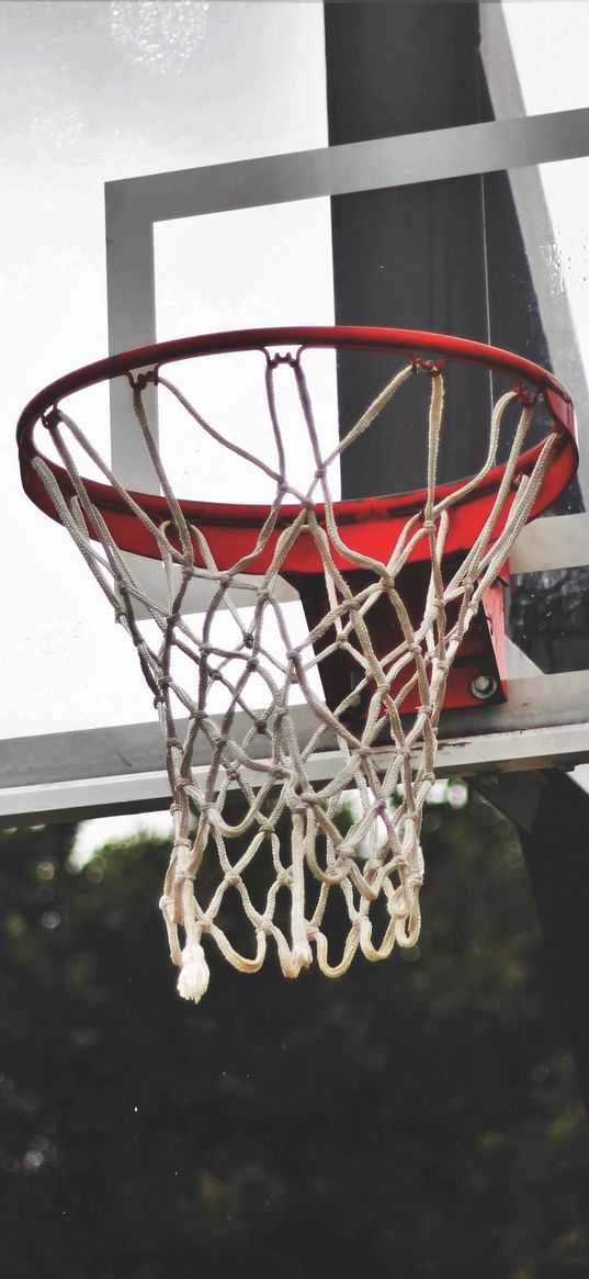 basketball shield, basketball, mesh