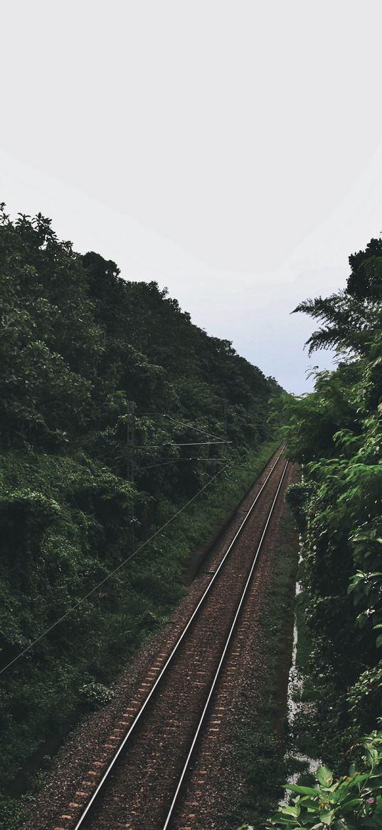 railway, trees, road