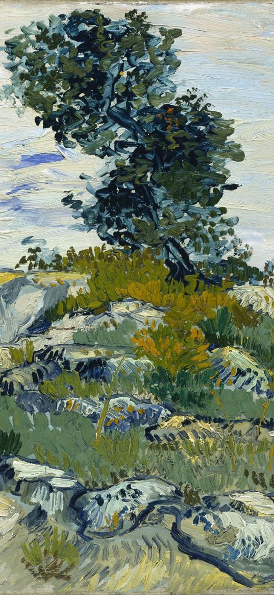 vincent van gogh, rocks with oak tree, the rocks, landscape, canvas, oil