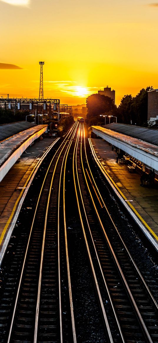 railroad, train, sunset