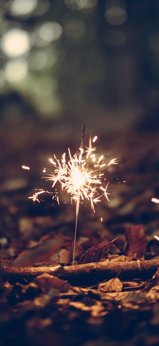 bengal fire, foliage, sparks