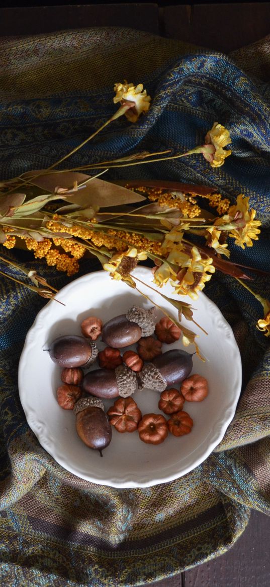 acorns, plate, flowers, cloth