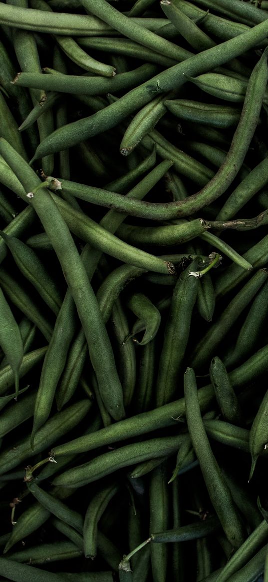 beans, pods, green