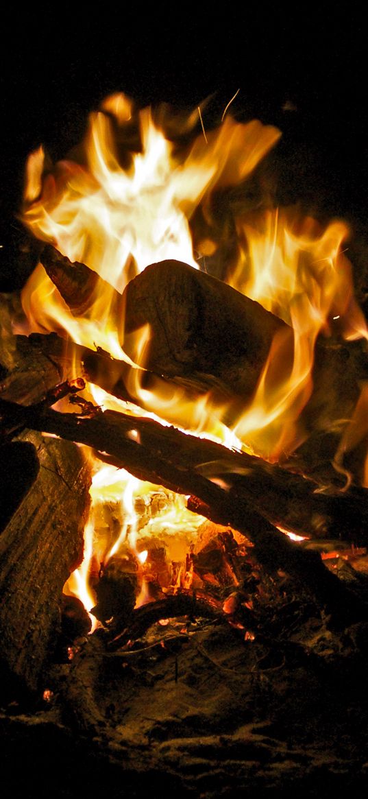 bonfire, fire, flame, firewood