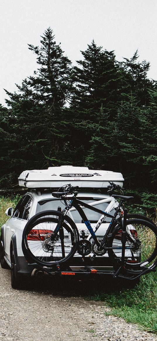 auto, bicycle, travel, nature