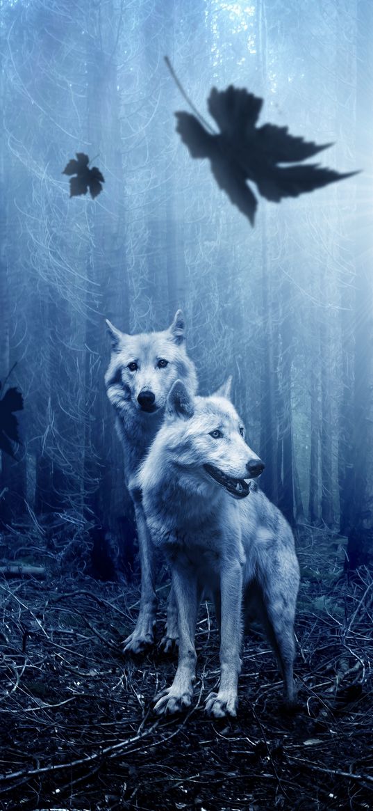 wolves, predators, forest, photoshop