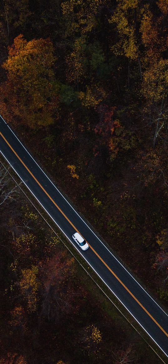 auto, road, view from above, trees