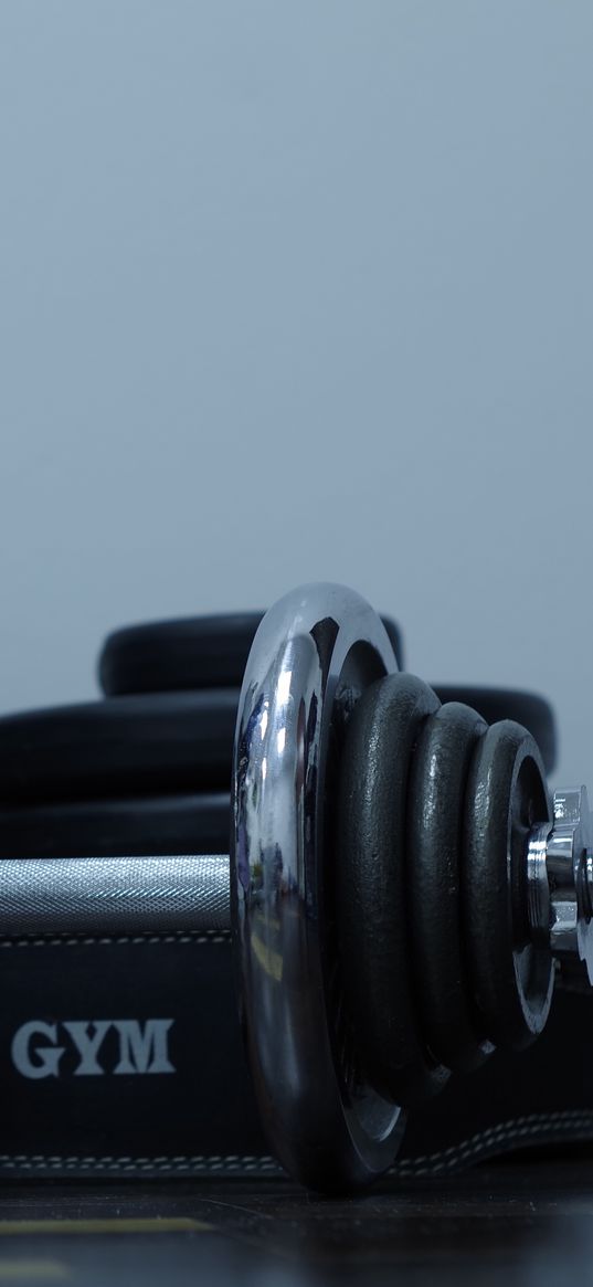 dumbbells, gym, weight, disks