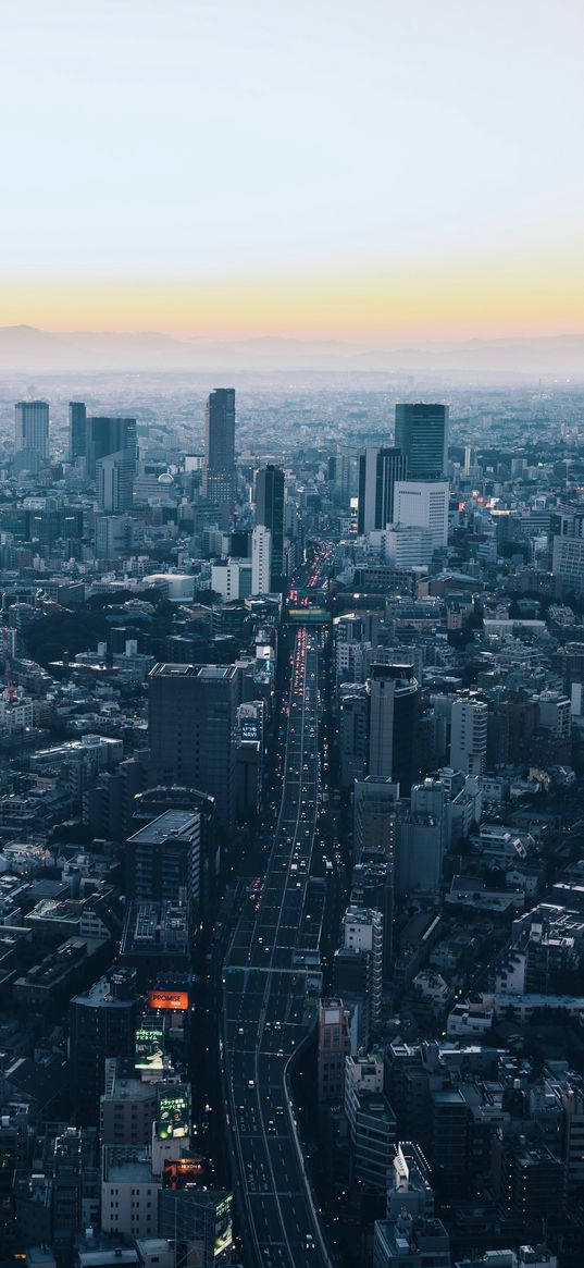 minato, japan, skyscrapers, city, view from above