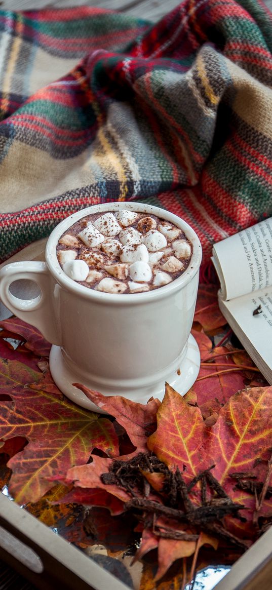 cocoa, marshmallow, plaid, book, autumn