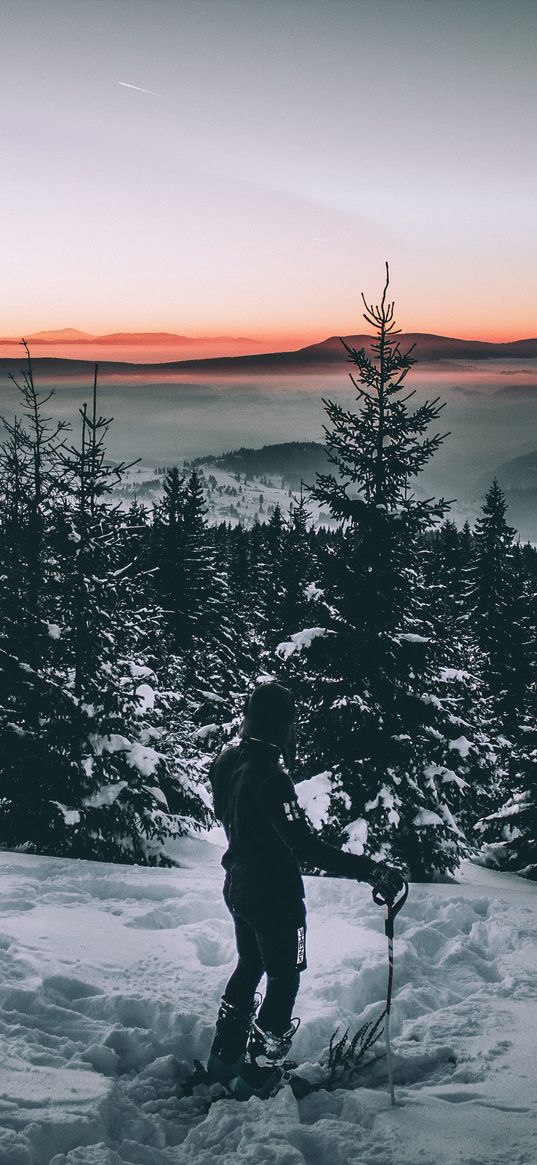 skier, snow, winter, trees