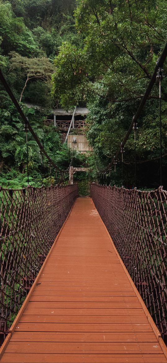 bridge, trees, hanging, weaving