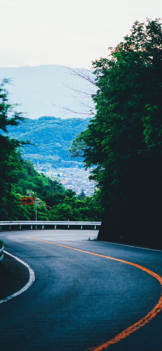 turn, road, mountains, trees, marking