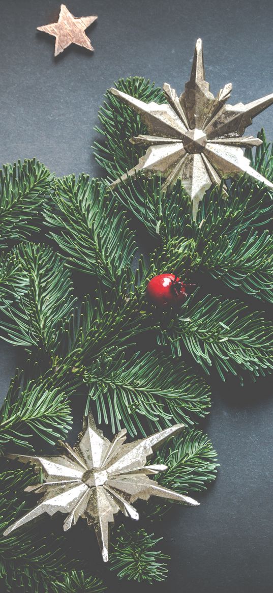 christmas decoration, stars, spruce