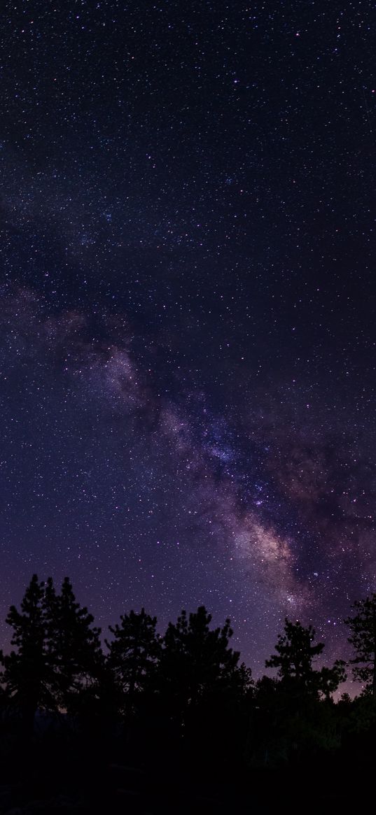 starry sky, trees, milky way, california, usa