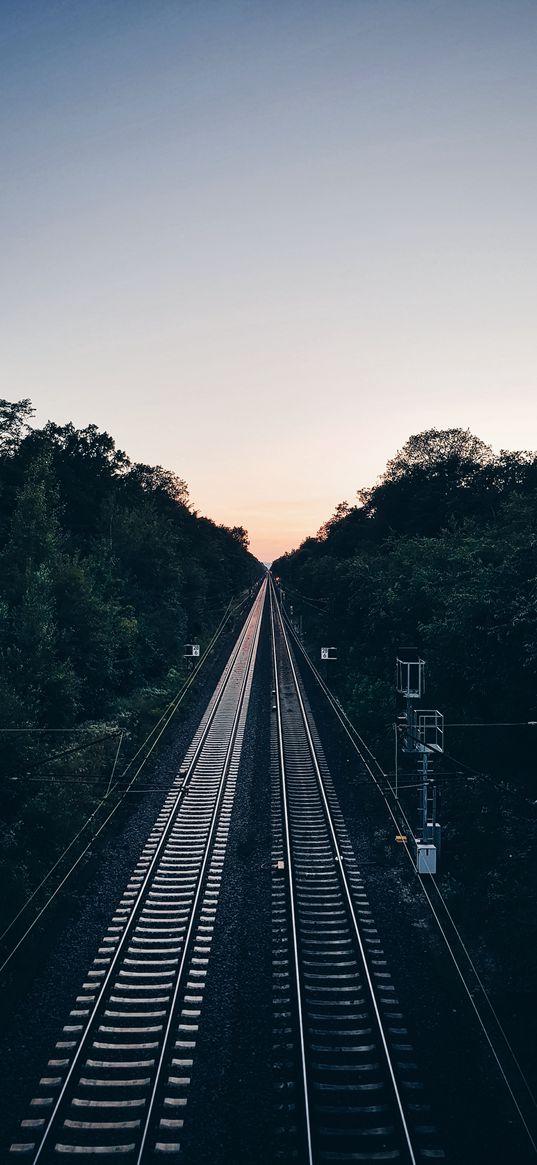 railway, trees, evening, dawn