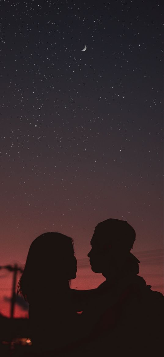 couple, silhouettes, hugs, night, starry sky