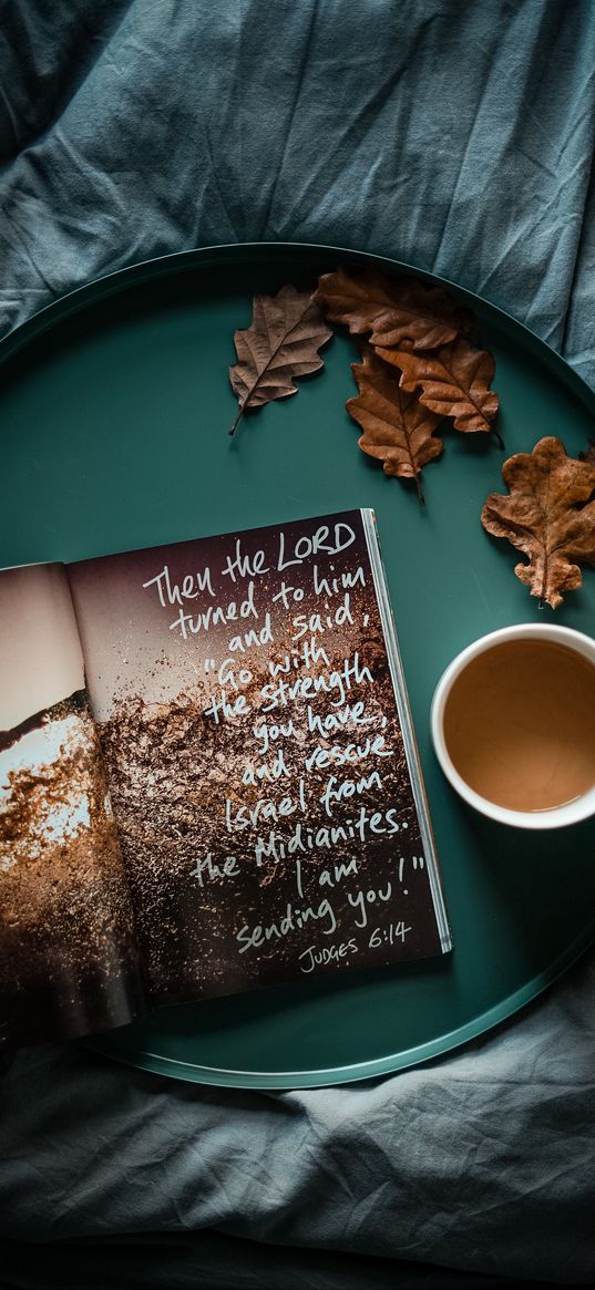 magazine, inscription, tray, tea, leaves