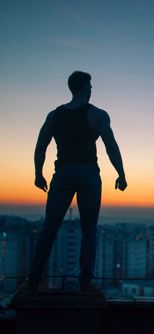 man, silhouette, night, roof