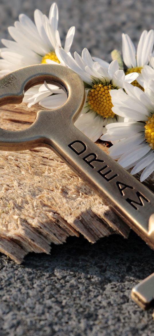 key, daisies, inscription, dream