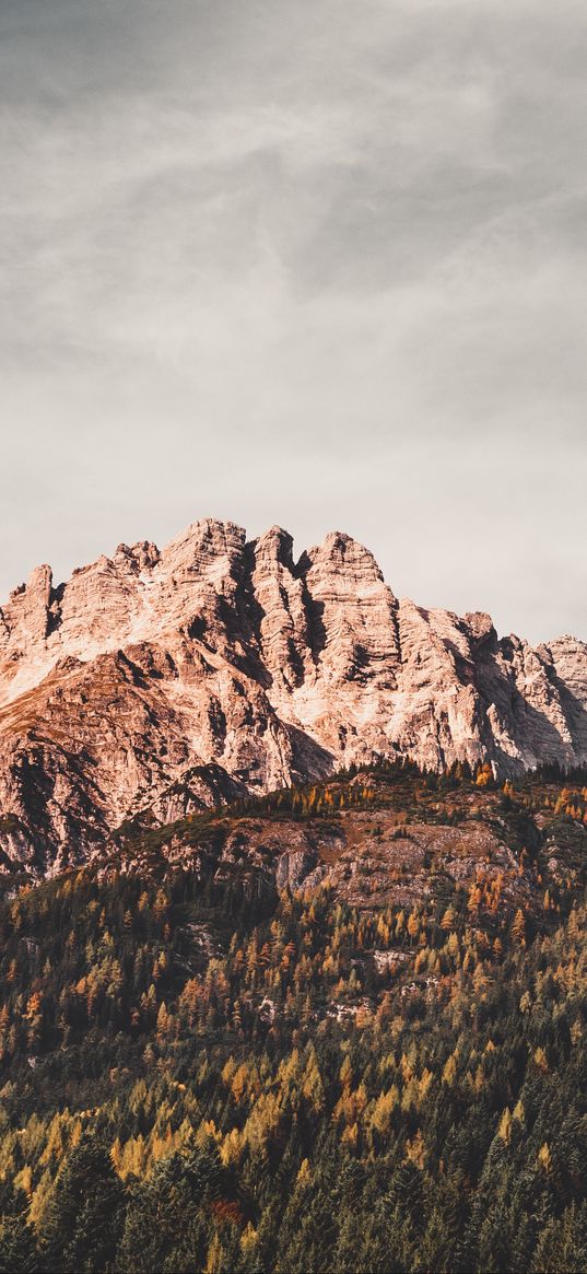 leogang, austria, mountains, trees