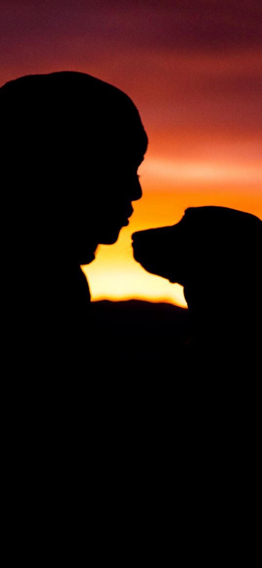 silhouettes, person, dog