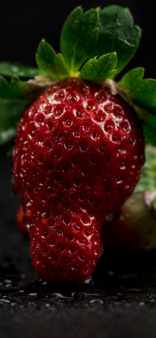 strawberry, berry, light, close-up