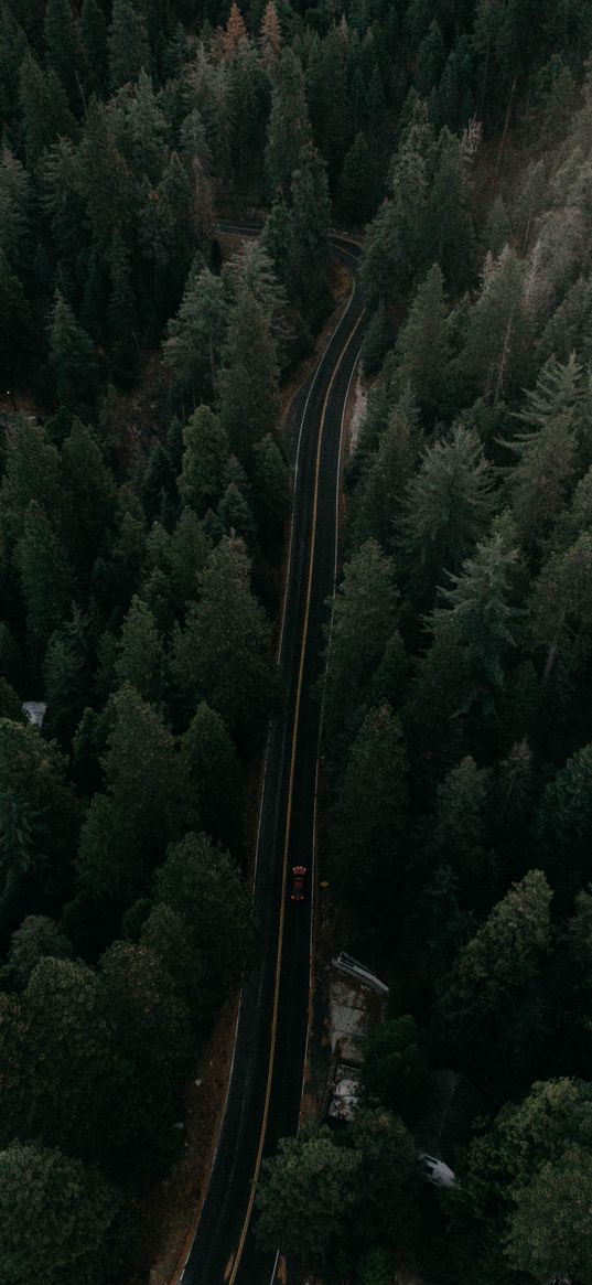 road, view from above, trees, marking, auto, movement