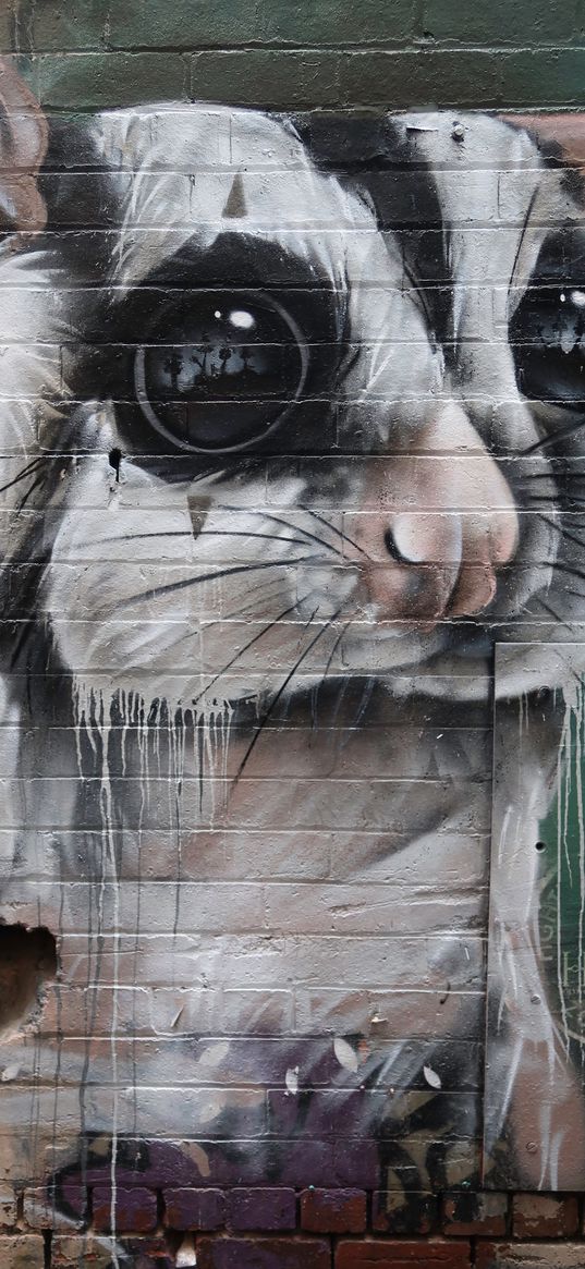 animal, graffiti, art, street art, wall