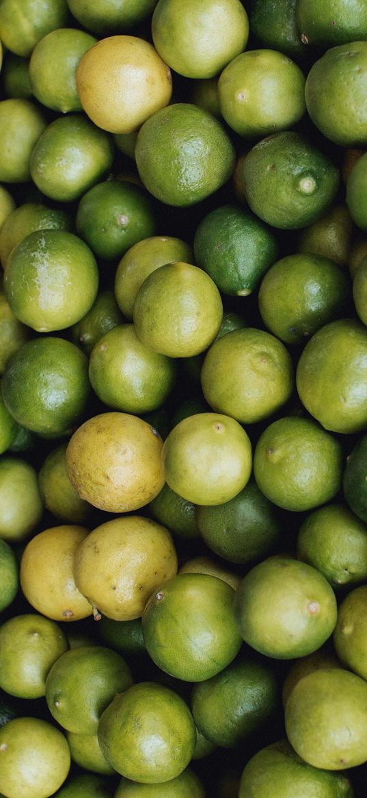 limes, citrus, fruits