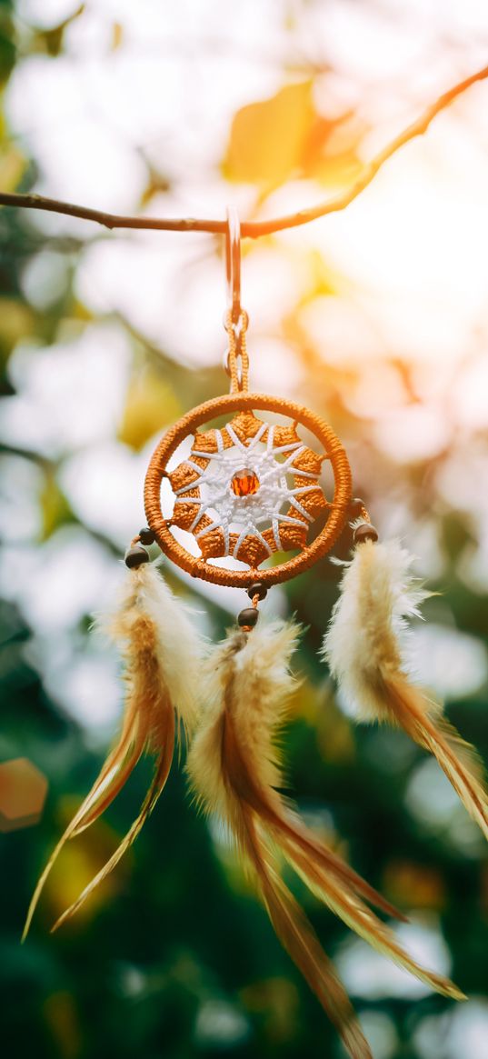 dreamcatcher, amulet, weave, blur